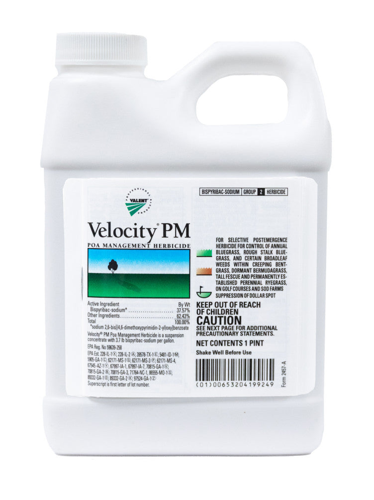 post emergent herbicide for annual bluegrass Velocity PM Poa Management Herbicide pint (16 oz)