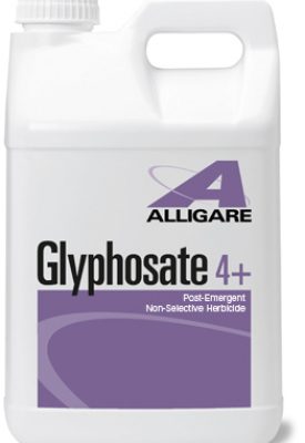 non selective post emergent herbicide Glyphosate 4 Plus quart (32 oz)