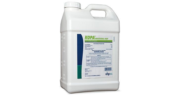 horticultural insecticidal soap Kopa Insecticidal Soap 2.5 gal