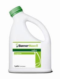 Banner Maxx II Fungicide gallon (128 oz)