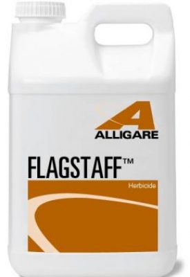 Flagstaff Herbicide 2.5 gallons - simple