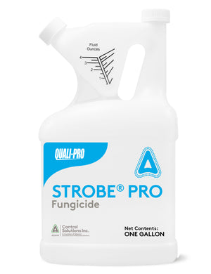 Strobe Pro Gallon