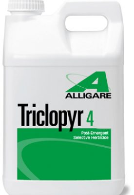 Triclopyr 4 (2.5 gallons) - simple
